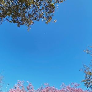 Meet your Posher, Alice